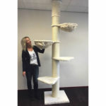 rhrquality-maine-coon-tower-tiragraffi-a-soffitto-1